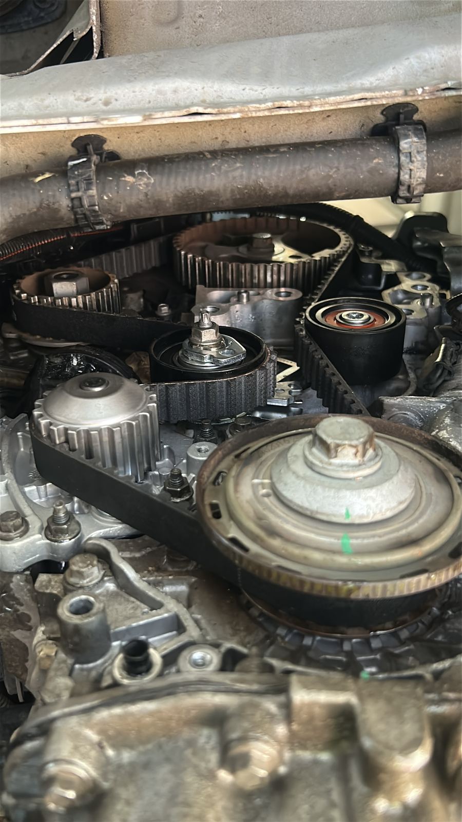Timing belt system mid replacement with new belt, tensioners and pulleys visible